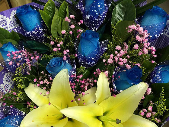 连云港仿真绿植花墙-大型企业单位园林绿化